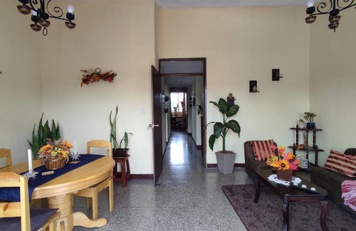 Zona 11 Apartment | Central Apartment in Zone 11 - Guest Rated 10/10