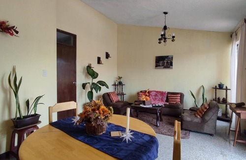 Zona 11 Apartment | Central Apartment in Zone 11 - Guest Rated 10/10