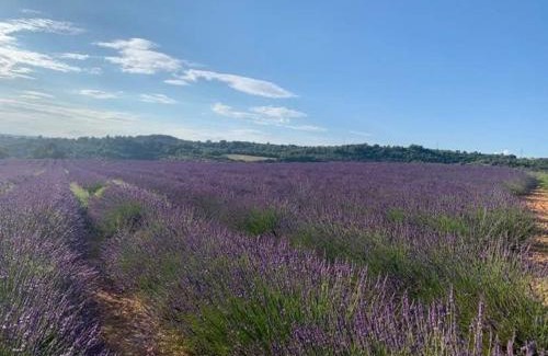 Quinson Apartment | Kid-Friendly Retreat at Côté Verdon - Rated 9.3/10