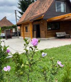 Porumbacu de Sus House | Exceptional Family Retreat at Little Bear Lodge, Rated 9.9