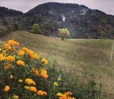 Ponor Ski Chalet | Căsuța de După Deal, Ponor