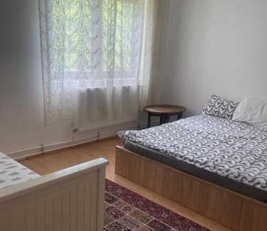 Bradu House | Discover Căsuța de la țară: Pet-Friendly Getaway