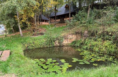 Vadu Izei House | Căsuța de la vâltoare