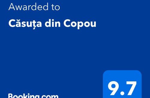 Copou Apartment | Top-Rated Family Retreat: Căsuța din Copou Awaits You
