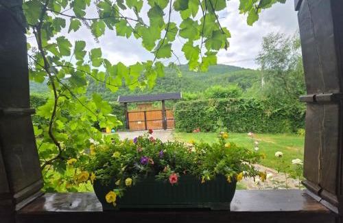 Turnu Rosu House | Family-Friendly Stay at Căsuța din Rusca - Rated 9.9/10
