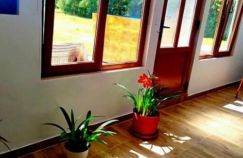 Avram Iancu Other | Pet-Friendly Getaway at Căsuțele Camping AliMar