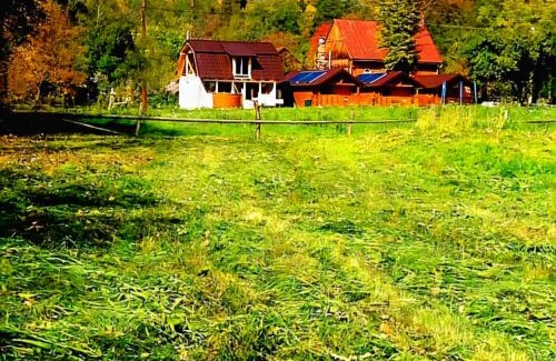 Avram Iancu Other | Pet-Friendly Getaway at Căsuțele Camping AliMar