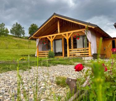 Ocna Sugatag Cabin | Pet-Friendly Căsuțele din Poiană with Kitchen Amenities