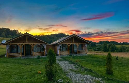Ocna Sugatag Cabin | Pet-Friendly Căsuțele din Poiană with Kitchen Amenities