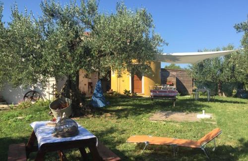 Fossacesia Bed & Breakfast | Experience Podere San Giovanni: Pet-Friendly Retreat Awaits