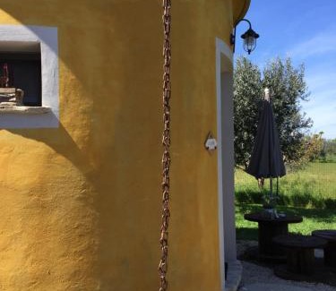 Fossacesia Bed & Breakfast | Experience Podere San Giovanni: Pet-Friendly Retreat Awaits