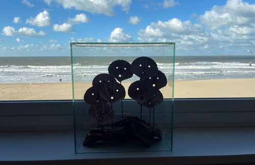 Ostend Apartment | Unforgettable C the C Oostende Apartment with Breathtaking Views