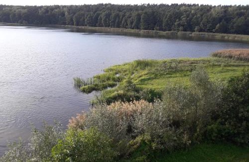 Lidzbark Welski Apartment | Cozy Getaway: Całoroczny Apartament u Grzegorza