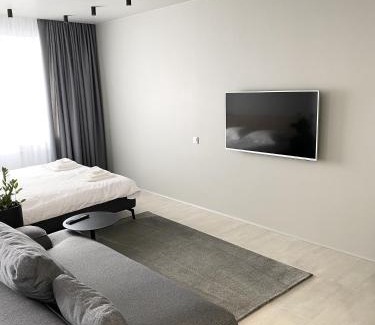 Kosuv Stary Apartment | Family-Friendly Cactus Apartments 1 - Guest Rated: 9.8