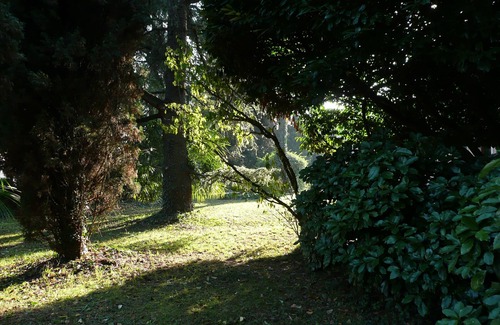 Mogliano Veneto Apartment | Relaxing CA '3 ARCHI Family Apartment near Venice - 9.4/10