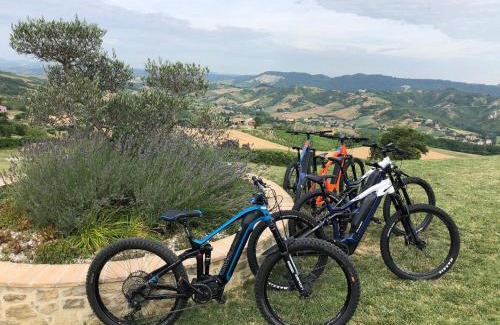 Vernasca Bed & Breakfast | Guest Rated 9.4: Ca' del Passero B&B with Pet-Friendly Perks