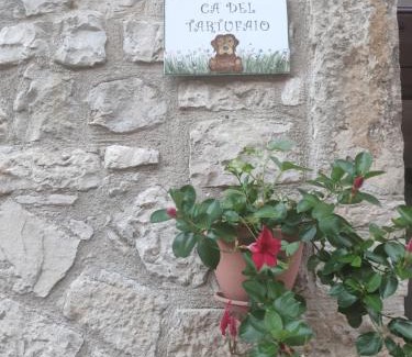 Castelmauro House | Top-Rated Family Retreat at Ca' del Tartufaio