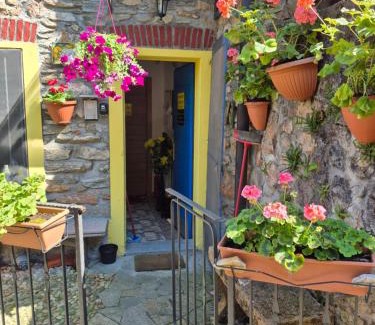 Cavagnano Apartment | Pet-Friendly Retreat: Ca' di Ruchitt - Happy Rentals