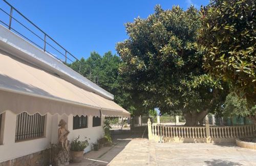 Algoda House | Ca Didi