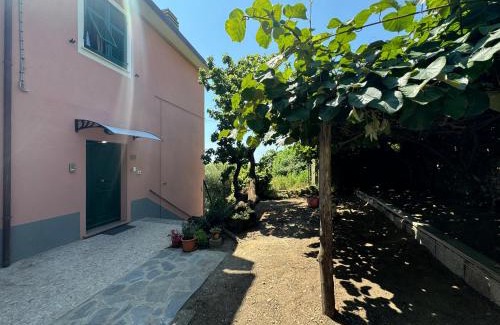 Volastra Apartment | Ca' dii Bürsa - HOMY 5 TERRE