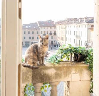 Bassano del Grappa House | Discover Ca' Garibaldi Rooms: Pet-Friendly Retreat Awaits