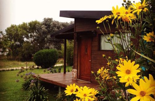 Laguna Brava Cabin | Pet-Friendly Getaway at Cabañas del Vuulcan - 10/10 Reviews