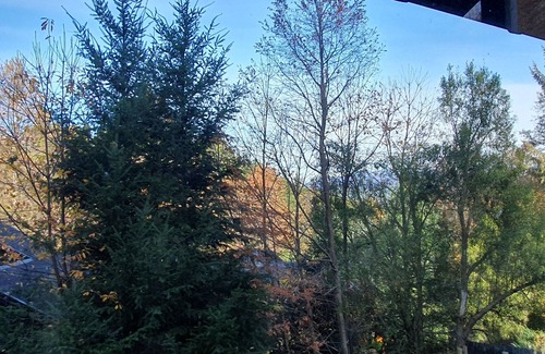 Lanin National Park Cabin | Relaxing Mountain Retreat with Spa and Hot Tub Amenities