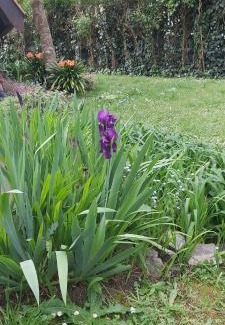 Bosque Peralta Ramos House | Pet-Friendly Cabaña Bosque Peralta Ramos - Guest Rated 8.9