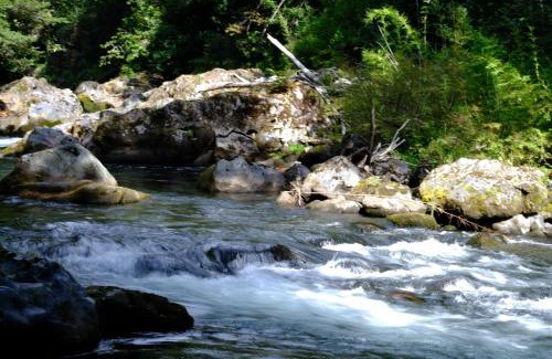 Palguin Alto House | Pet-Friendly Cabaña Bosque Río with Hot Tub in Pucón