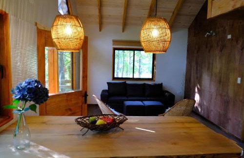 Palguin Alto House | Pet-Friendly Cabaña Bosque Río with Hot Tub in Pucón