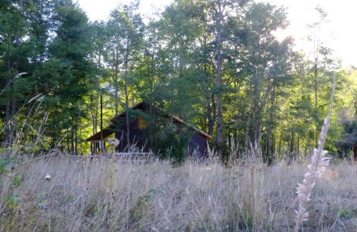 Palguin Alto House | Pet-Friendly Cabaña Bosque Río with Hot Tub in Pucón