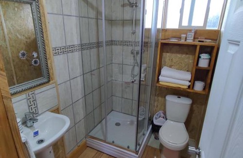 Llanquihue Apartment | Cozy Cabañas and Domos at Doña Isabel - Family Friendly Stay