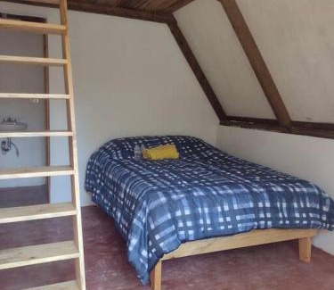 Xilitla Apartment | Cabaña Calandria