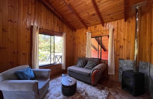 Panguipulli House | Tranquil Cabaña Campestre with Natural Surroundings