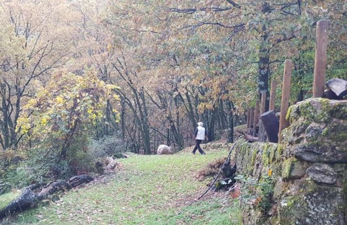 Candeleda House | Pet-Friendly Retreat at Cabaña Castañarejo - Rated 8.6/10