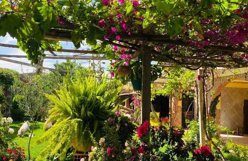 Tiquipaya House | Pet-Friendly Escape at Cabaña Chura - Guest Rated 10/10