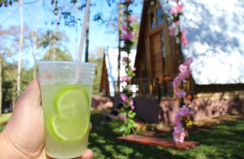 Ciudad Del Este Cabin | Cozy Cabaña del Lago: Pet-Friendly Stay with Pool