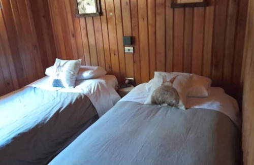 Casa de Lata House | Cozy Cabin with Fireplace in the Forest - Termas de Chillan