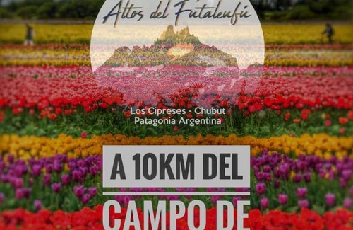 Trevelin Ski Chalet | Idyllic Cabaña de CAMPO Altos del Futaleufu by the River