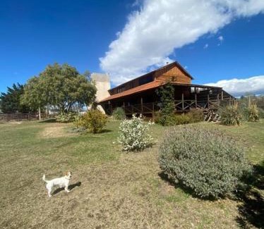 Tanti House | Pet-Friendly Cabaña de Campo with Pool & 10/10 Guest Rating