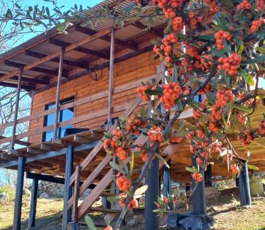 San Clemente House | Experience Cabaña de Campo: Pool & Breakfast in Córdoba