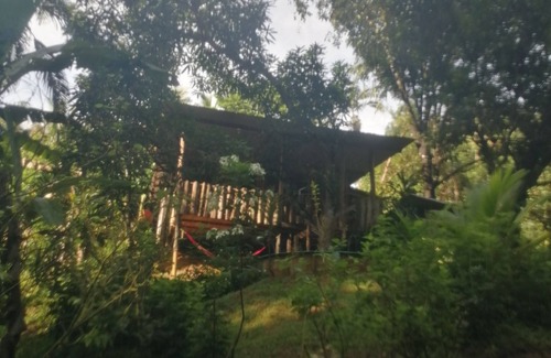 Naranjito Cabin | Family-Friendly Cabaña de Montaña – Perfect for Pets!