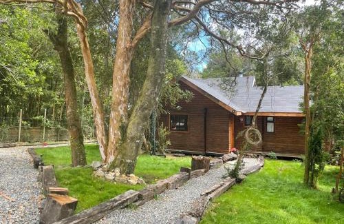 Valdivia House | Cozy Cabaña del Bosque: Pet-Friendly Retreat for Families