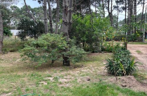 La Paloma House | Pet-Friendly Cabaña del Mar with Oceanfront Views