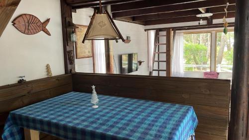 La Paloma House | Pet-Friendly Cabaña del Mar with Oceanfront Views