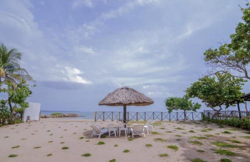 Costa Caribe Apartment | Family-Friendly Oceanfront Stay at Cabaña Don Alejo