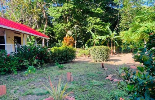 Sapzurro House | Cabaña ecológica Casa Mango