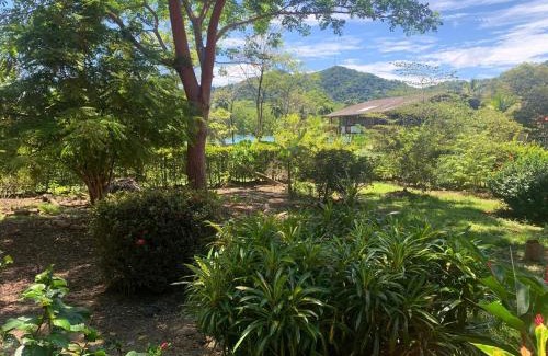 Sapzurro House | Cabaña ecológica Casa Mango