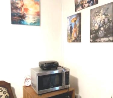 Valdivia Apartment | Tranquil Independent Apartment for Solo Travelers