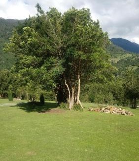 Los Ladrillos House | Pet-Friendly Retreat at Cabaña Río Cochamó - Rated 9/10